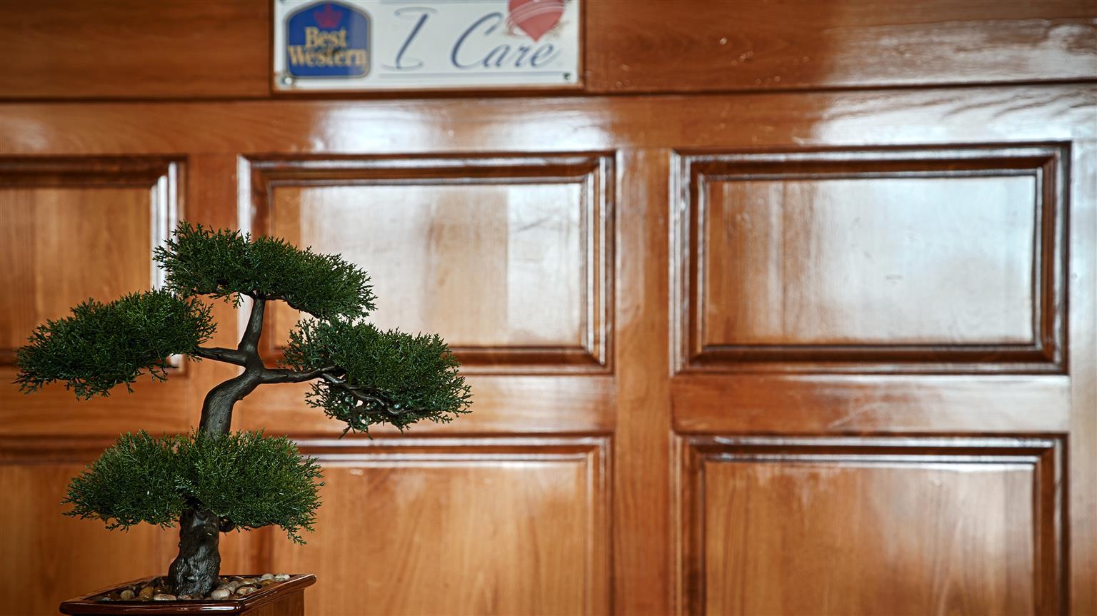 Best Western Montis Inn Сейнт Робърт Екстериор снимка